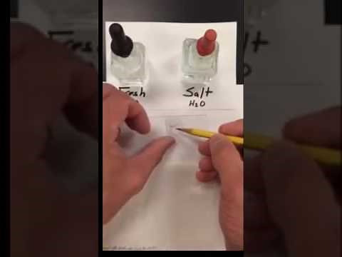 NYS LE Diffusion Through A Membrane Lab Set Up