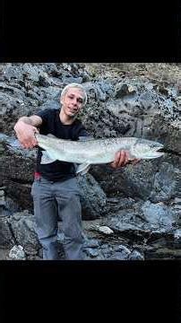 catching monster steelhead