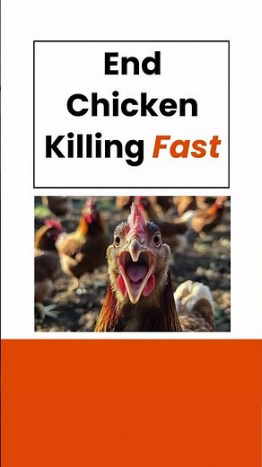 Stop your dog from killing chickens fast