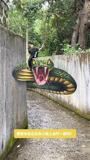 Incredible 3D Street Art Mural: Giant Snake & Bear Illusion