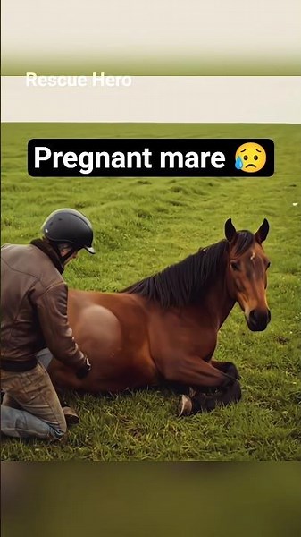 This man saved the pregnant mare 😥❤️ #horse #wildlife #animalrescue