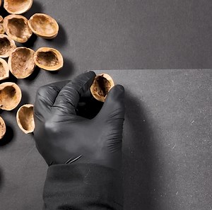 Walnut Shells Become A Night Lamp | Innovative Panda