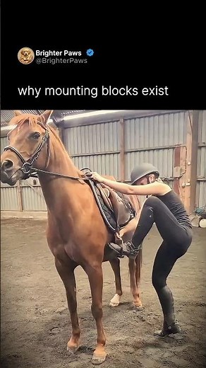 why mounting blocks exist🐴