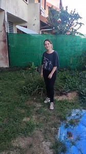 63K views · 400 reactions | #collage avec @peperlevilone Comment multiplier un ananas  #plant #ananas | Camille Miriam | Facebook