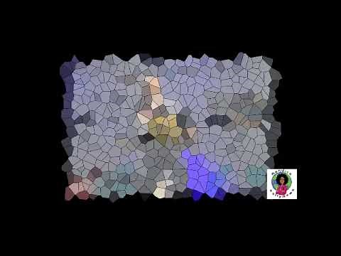 Who is Prophetess Natasha Davis?