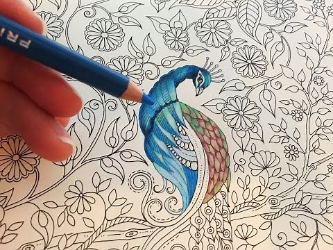 Peacock (Part 1/3) | Secret Garden Adult Coloring Book | Coloring With Colored Pencils