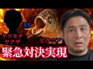 ピラニア緊急参戦！ぼったくりバーのケツモチヤクザとのガチ対決がまさかの実現！！ブチギレバトル開戦！