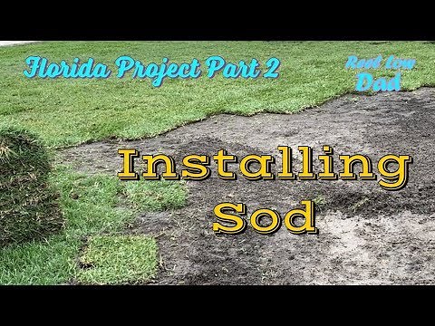 How to Install Sod | Florida Project Lawn | The Lawn Care Nut Supervises
