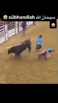 #wildlife #ytdayibenionecikarnolur#animals#hayvanlar#wildanimals#kurd#leopard#eyeshadow#animalshorts