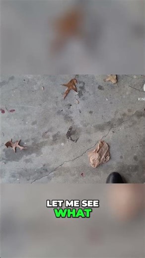 Estimating Distance: Quick Steps and Calculations! #shorts