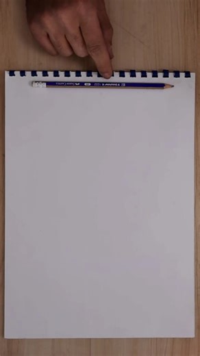 Tharwat pencil art on Instagram: "Did I nail it ? #art #drawing #tiger #sketching"