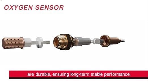 00524c1f65804921894b478df3a44df0