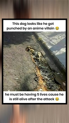 POV: Dog Got Hit by an Anime Villain 💀🐶⚡#trending #viral #funny #memes #explore #foryou #jokes