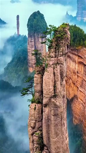 5.2K views · 53 reactions | Chinese drama shorts full movie multi sub indo english - 因太能拆家，玄學天才被迫下山討生活，怎料被師姐騙去沖喜，與雇主發生一夜情后落荒而逃。雇主要負責，陰差陽錯成她上司，兩人在誤會裡慢慢靠近！ #ChineseDrama #Cdrama #Chinesedramaedit #shortdrama #dramakr | Drama KR | Facebook