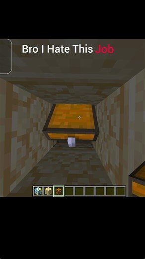 I Hate This Job...😑(Minecraft)