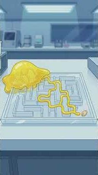 What is this blob that can solve mazes?