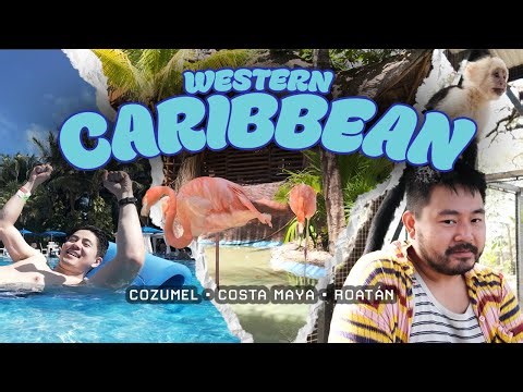 We Tried the Best Caribbean Excursions—Here’s What Was Actually Worth It (2025)