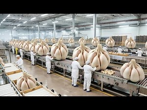 Inside the Largest US Factory: The Extreme Engineering of Fine Dust Powder (Full Process)