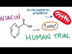 Niacin supplementation human clinical trial; mitochondrial myopathy & healthy controls