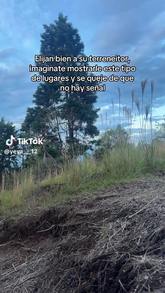 Videos de yeya___12 (@yeya___12) con “original sound - anete - anete 🇱🇻”