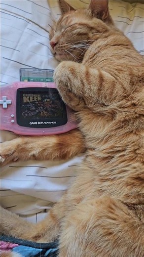 Its a Thunder Cat's Life. Commander Keen on the Nintendo Gameboy Advance 90s 00s Nostalgia 🐈🕹👾👽