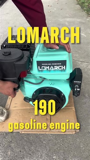 190 Gasoline Engine Overview: Power and Efficiency