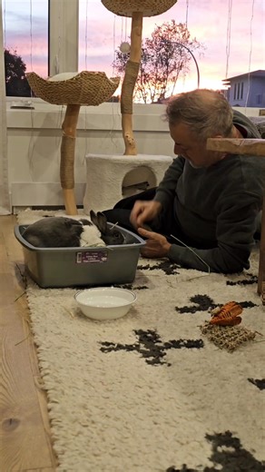 82K views · 3.2K reactions | I invited my parents over for supper last night. Chester was so happy to see my dad again. They greeted each other. Chester did a few carpet zoomies and then tried to steal my dads dessert  *Chester’s 2026 calendars are now available! If you’d like to support us, feel free to send us a message * | Chester the Dutchie | Facebook