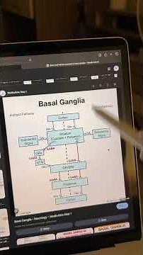 Basal Ganglia simplify #medstudent #neuroanatomy #basalganglia