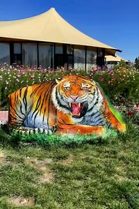 500K views · 33K reactions | Amazing zoo from stone | Beautiful Artworks | Facebook