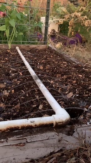 Looking for a simple and efficient way to water your raised beds? We loved using these DIY PVC watering systems at our old house! They were so easy to build, and they made watering a breeze. Winter is the perfect time to tackle garden projects like this—use your downtime to get your watering setup ready before spring planting hits! 🌱 Want to see how we built ours? Check out our YouTube channel for step-by-step instructions! #RaisedBedGardening #DIYGardenProjects #WinterGardenPrep #SeedToSpoon #