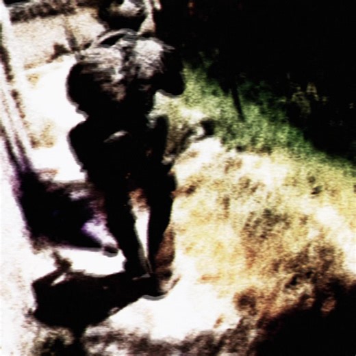 ASASR #d5kcd #specialforces #fyp #edit #australia | special forces