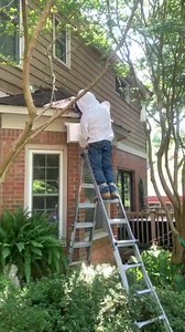 48K views · 904 reactions | Yesterday’s swarm catch. I’ve tried downloading it to edit, but the new phone and computer aren’t cooperating. Hand scooping bees, catching and caging the queen and 4 attendants. #beeholding | Bartlett Bee Whisperer | Facebook