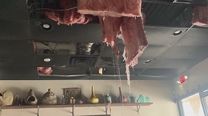 Does insurance cover broken pipes for homeowners? What about renters?