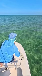 9.3K views · 191 reactions | American Made Fly Lines  Since 1915 | Cortland Line | Facebook