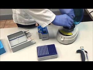 Accuris Electrophoresis Demo