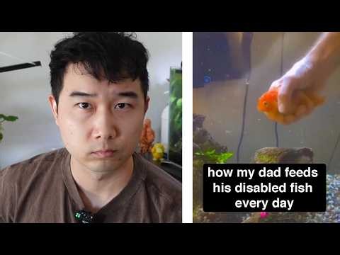 how to make a bigger tank | Fish Tank Review 363