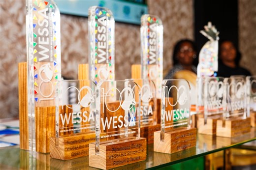 More Than 120 Gauteng Schools Recognised at Eco-Awards