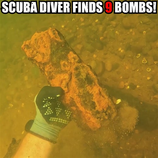 61K views · 535 reactions | Bomb squad came so fast!  | D ALL MY D | Facebook