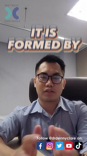 #6 - Dr. Denny Clare - Sports Injury - Ankle Anatomy, Common Injury and Treatment (English Version)