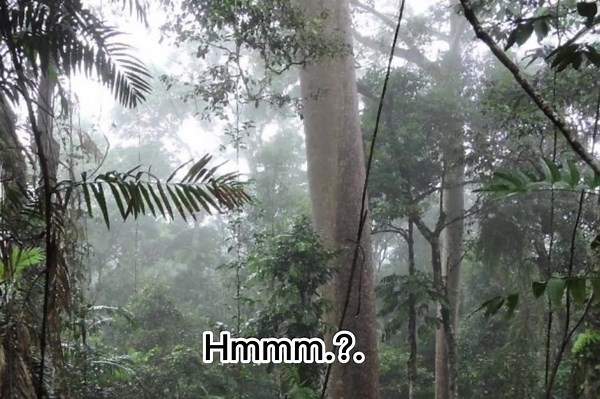 Hi! Im a new part of this collab, i hate fandom haters, i havent rlly come up with a name for my oc yet, lets just call him monke my sign off is -🐵🩹! #fyp #fypシ #fypage #fypシ゚viral #fypdongggggggg #fyppppppppppppppppppppppp #fypp #fypdong #fypsounds #fypgakni #goat #budsforbuddies #fandom✅you✅me❌fandomhaters❌catty❌ #fandom✅you✅me✅ #animals #cute #peterhowareyoudoingthat #animals✅ #collab #fluffypony✅