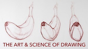 Contours / Drawing with Compelling Contours & Foreshortening | Brent Eviston | Skillshare