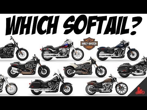 The Harley-Davidson Softail - Which One?!