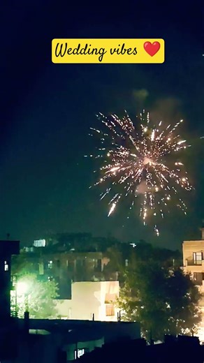 Wedding vibes ❤️😍#wedding #weddingvibes #sadi #marriage #winter #sadispecial#enjoy #vibes #shorts#yt