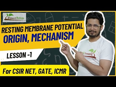 Resting membrane potential of neuron | Mechanism of resting membrane potential