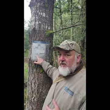 Is It Safe to Forage After Herbicide Spraying?