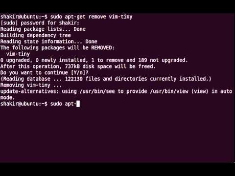 How to install full version of Vim in Ubuntu