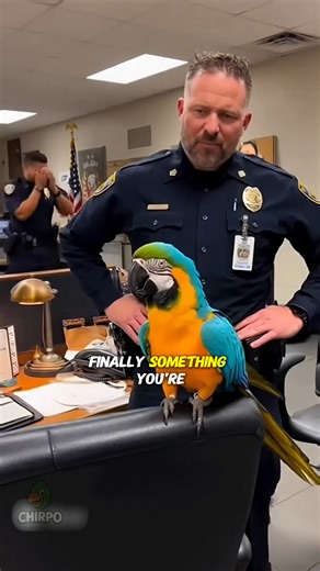 When the parrot becomes the main suspect for roasting too hard 😂 #talkingparrot #funnyparrot #BirdHumor | Heaven on Earth