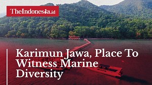 Karimun Jawa, Place To Witness Marine Diversity