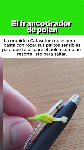 El francotirador de polen