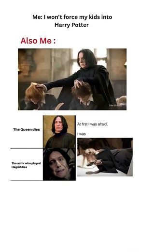 "Me: I Won't Force Harry Potter on My Kids... Also Me 😭🪄 #HarryPotter #ParentingFail" #meme if it's